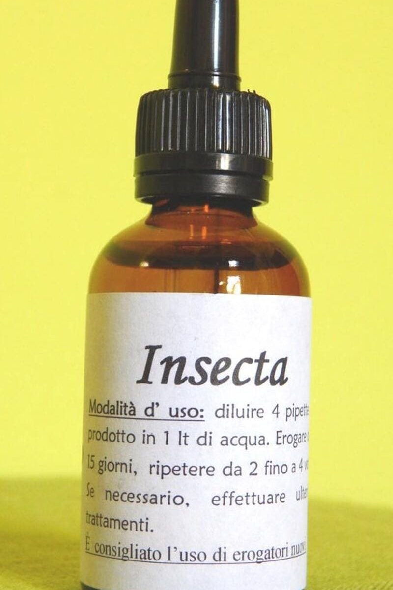 INSECTA | Rimedio naturale contro afidi, cocciniglia, metcalfa
