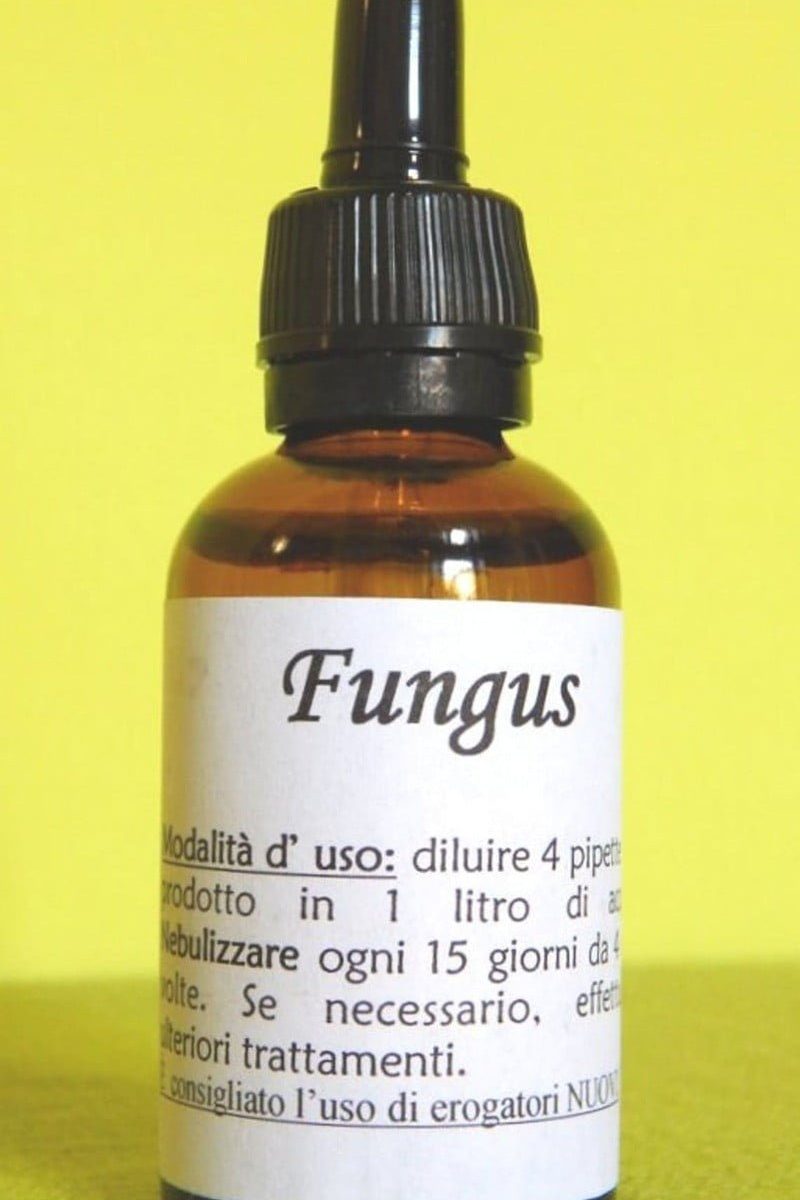 FUNGUS | Rimedio naturale per funghi e muffe di piante