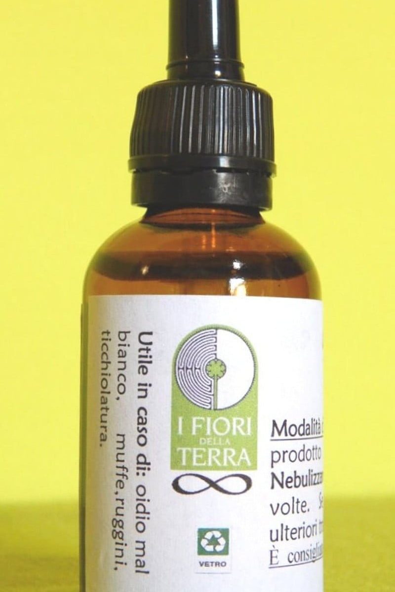 Alternative view of FUNGUS | Rimedio naturale per funghi e muffe di piante