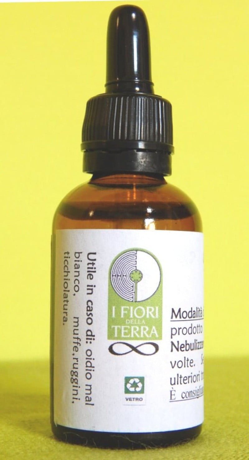 FUNGUS | Rimedio naturale per funghi e muffe di piante - immagine 2