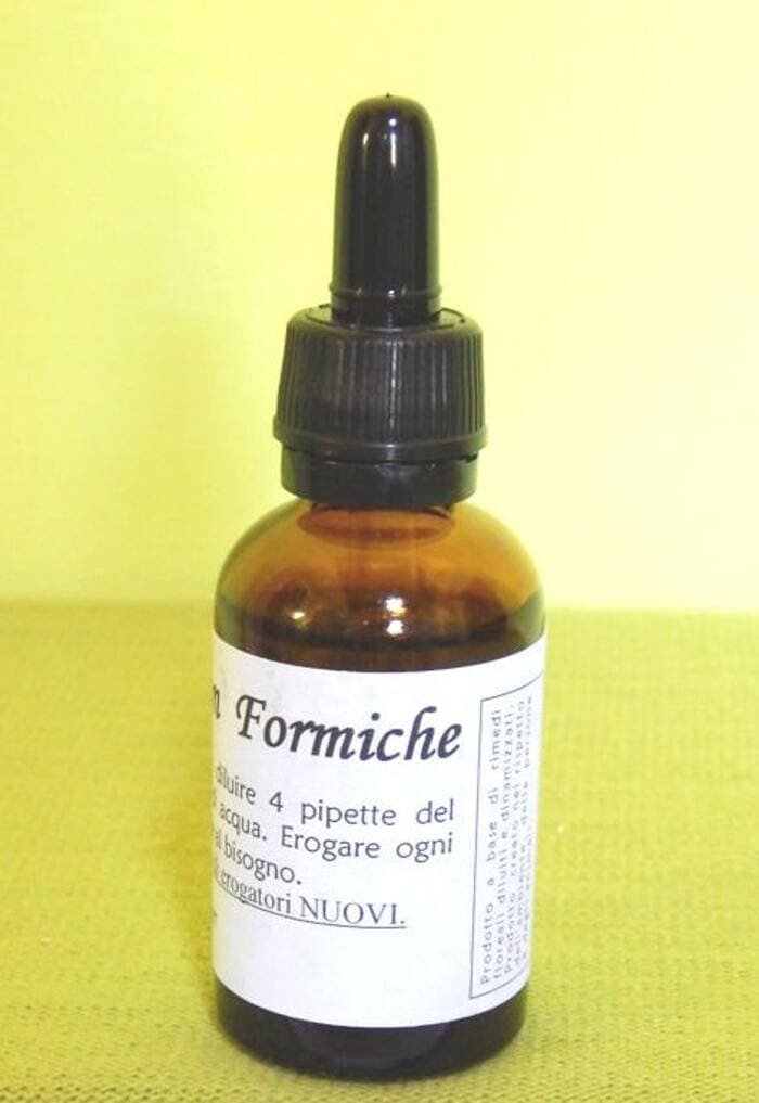 CONFUSION FORMICHE | Efficace per dissuadere le formiche - immagine 3