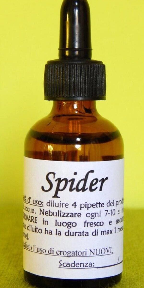 SPIDER | Rimedio naturale contro ragni e vespe muratrici
