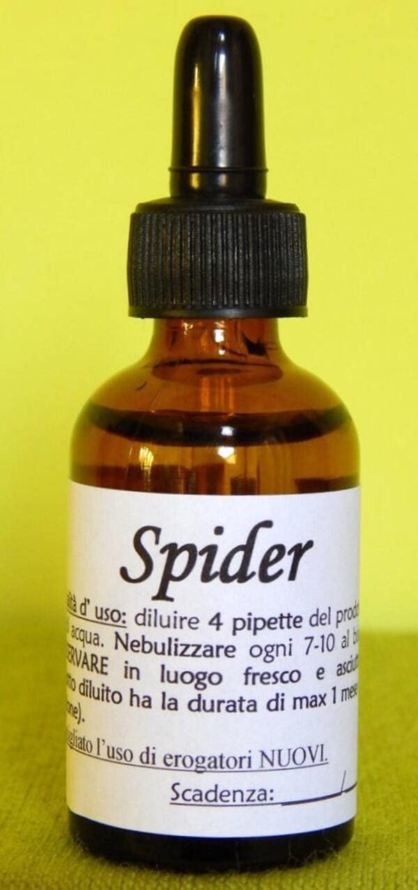 SPIDER | Rimedio naturale contro ragni e vespe muratrici