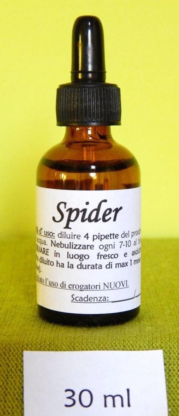 SPIDER | Rimedio naturale contro ragni e vespe muratrici - immagine 2