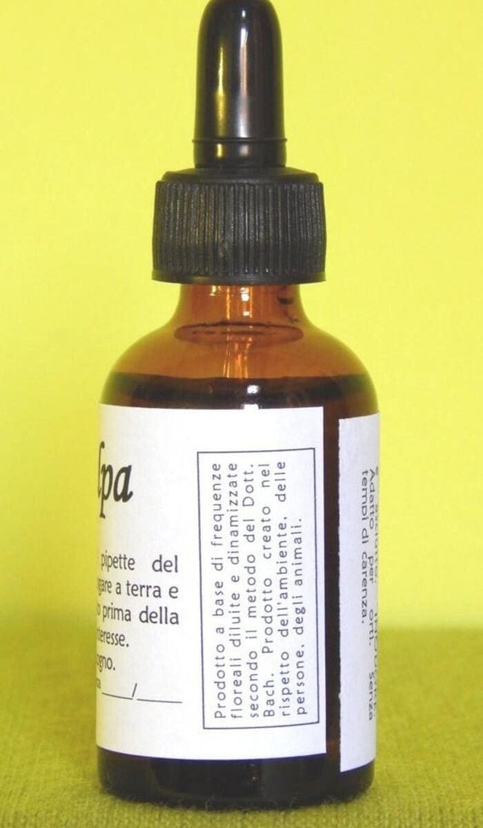 Alternative view of GRILLOTALPA | Rimedio naturale per dissuadere grillo talpa