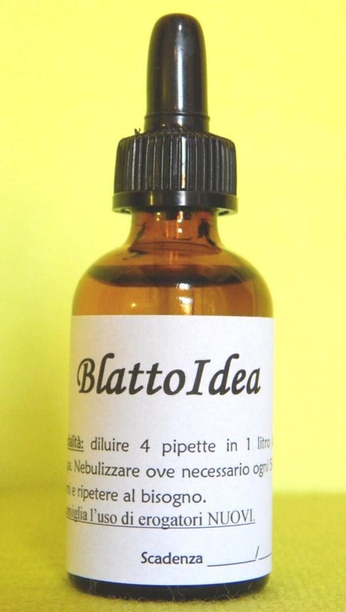 BLATTOIDEA | Rimedio naturale contro scarafaggi e blatte