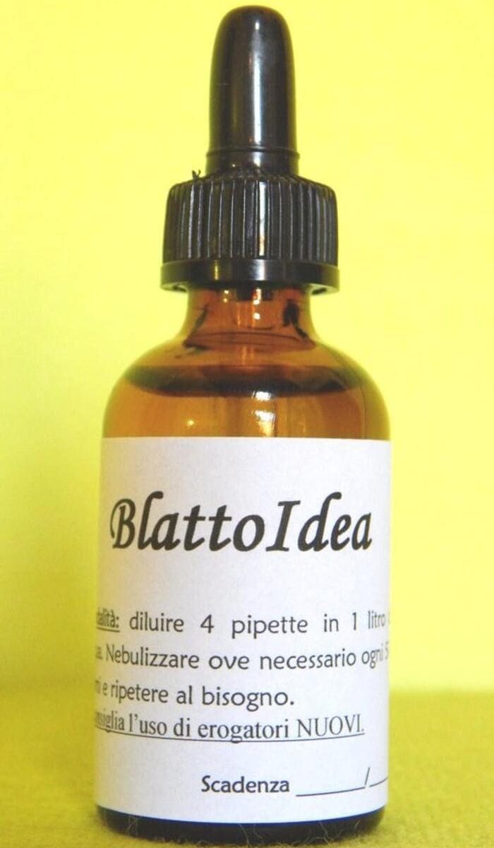 KIT Formiche + Blattoidea | 2 Rimedi naturali