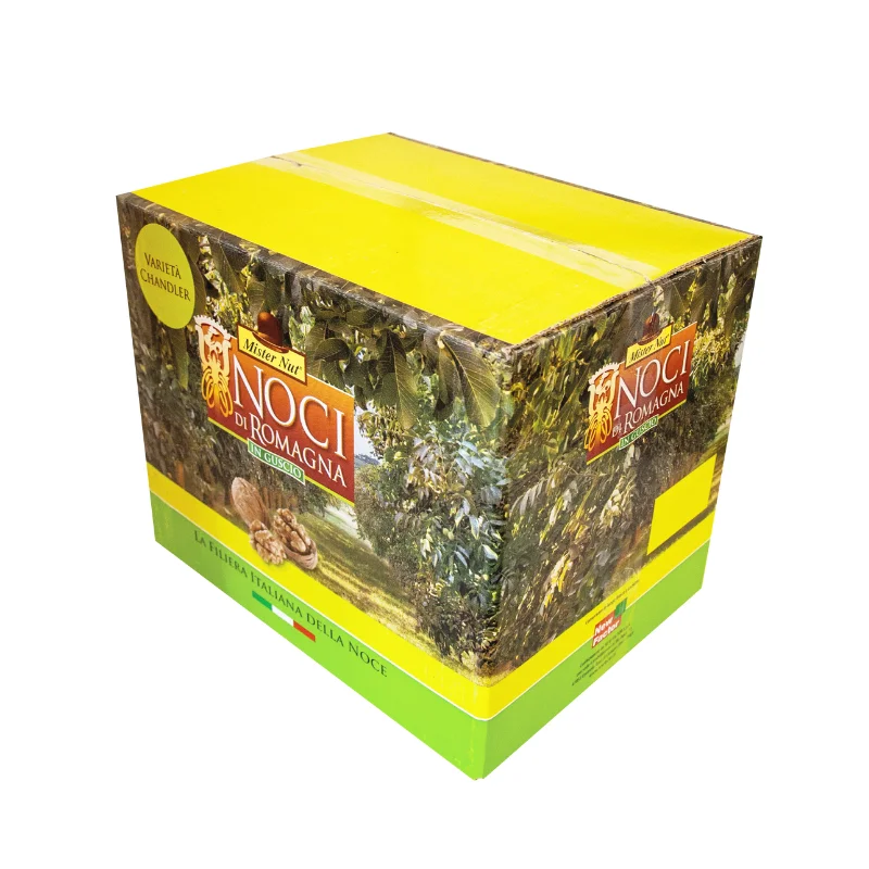 Noci in guscio di Romagna - Varietà Chandler - Calibro 34/36 - Cartone 5 kg